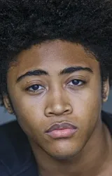 Куинси Фаус